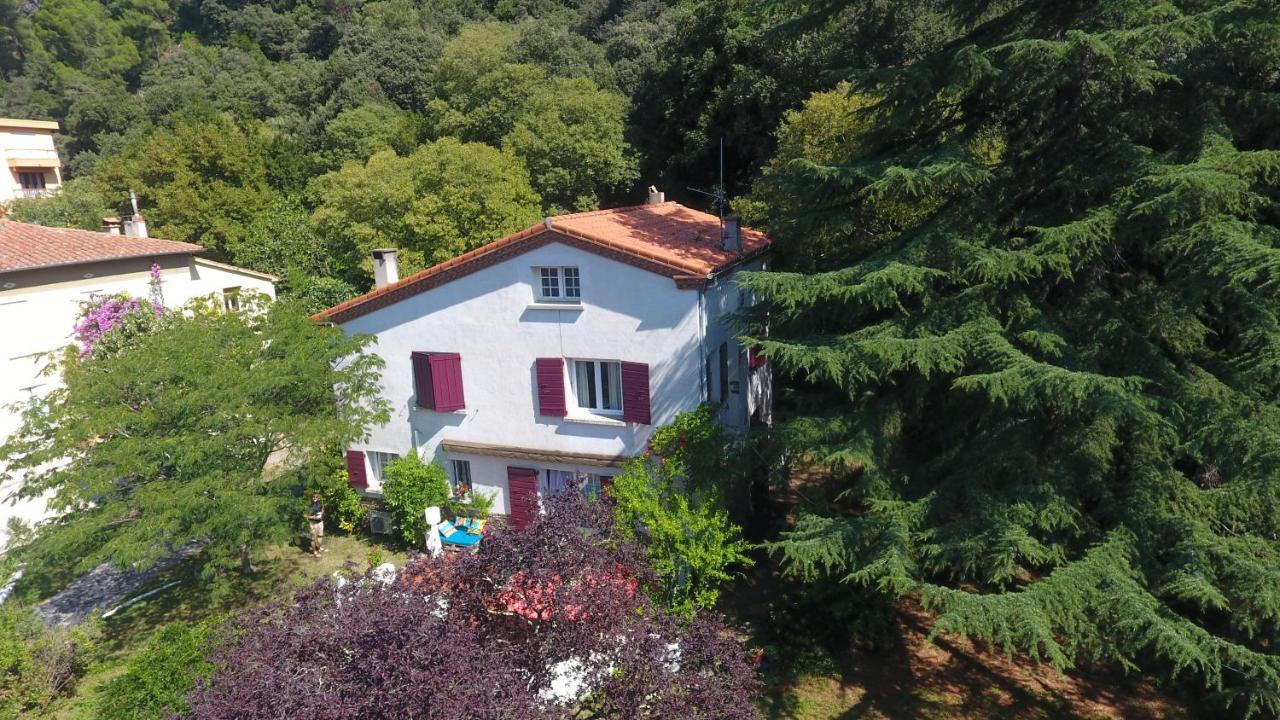 Villa Riviera Chambres Privees Amélie-les-Bains-Palalda Екстериор снимка