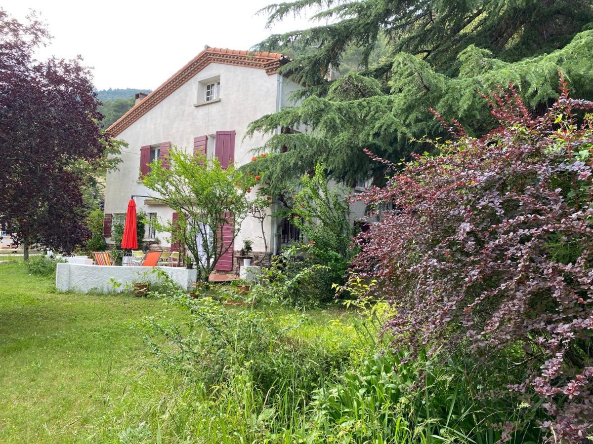 Villa Riviera Chambres Privees Amélie-les-Bains-Palalda Екстериор снимка